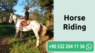 Horse Riding